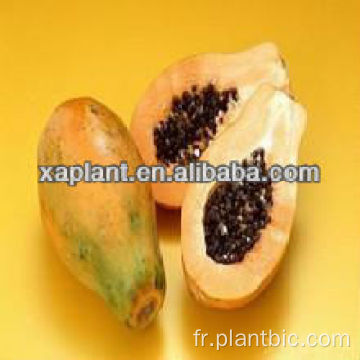 Fourniture d&#39;usine Pure Plant naturel Extraits Poudre de jus de papaye